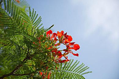 《永恒寒冬》PC抢先体验开启 生存恐怖合作战术射击